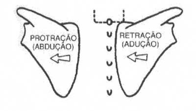 abducao_aducao1