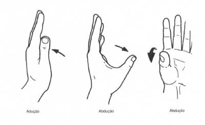 abducao_aducao4