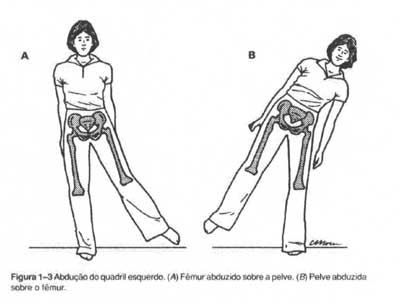 abducao_aducao5
